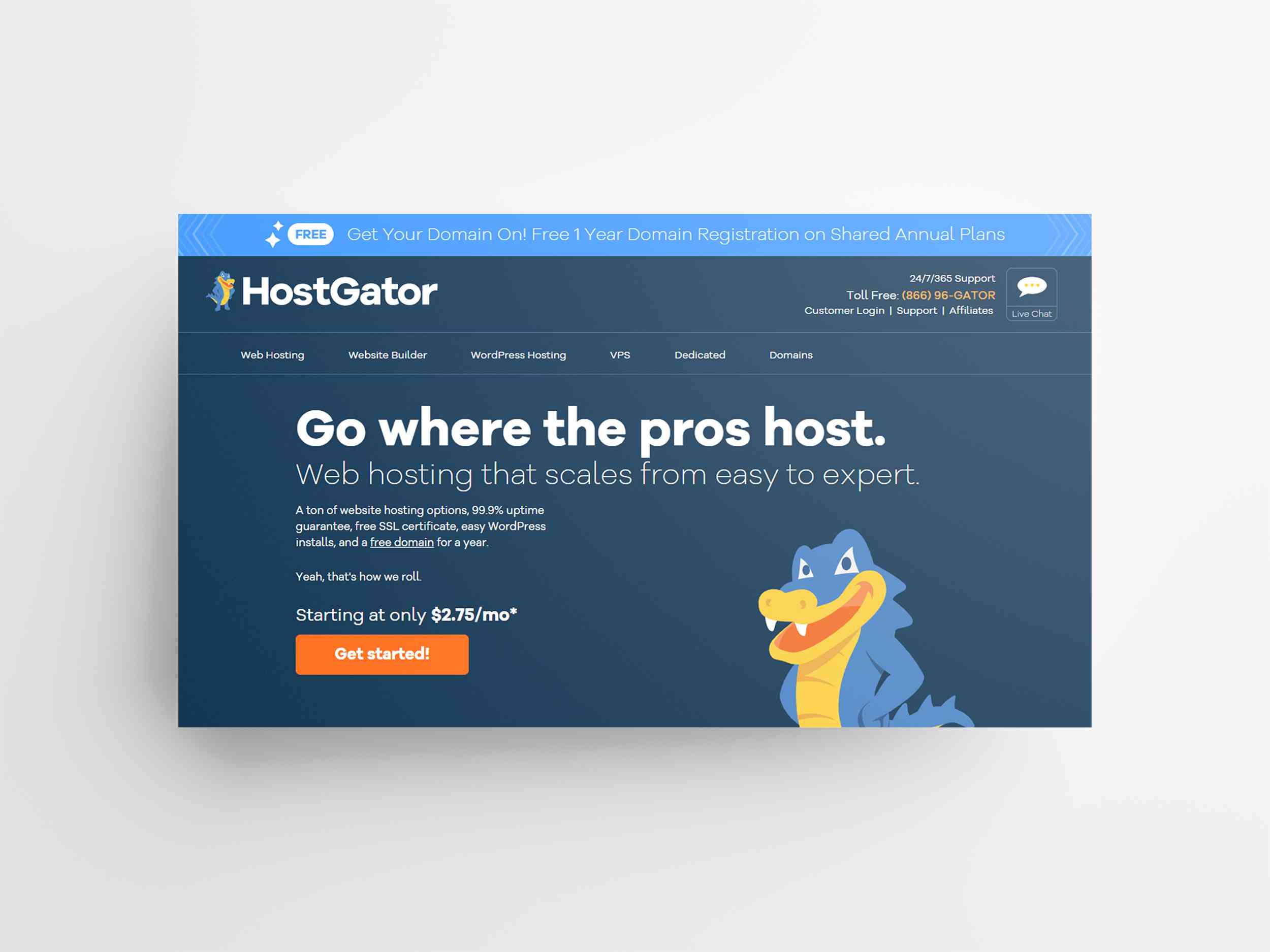 Hostgator Hosting