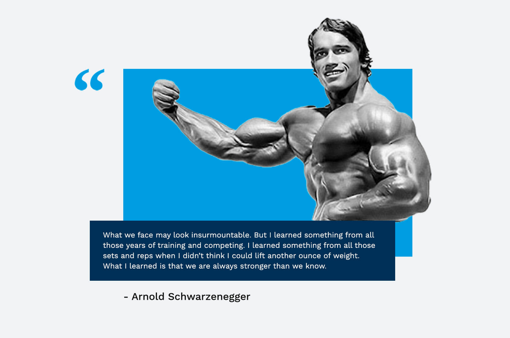 Arnold Schwarzenegger Quote