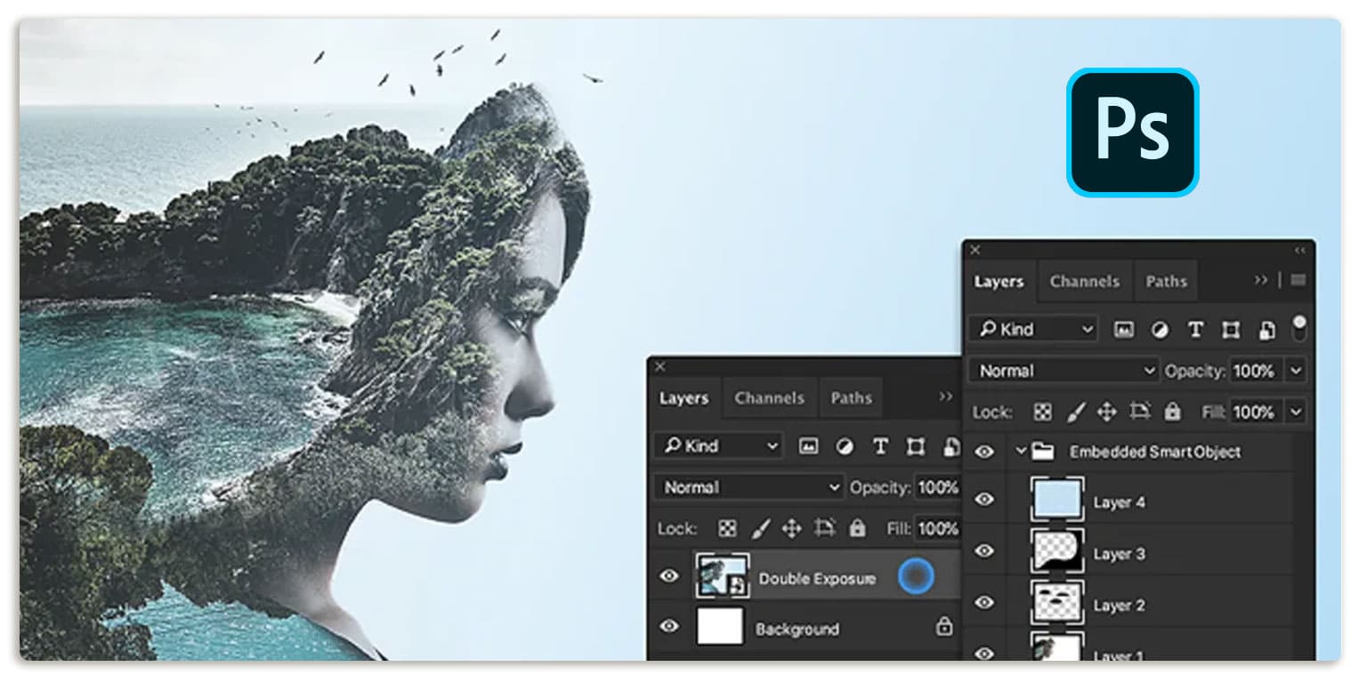 graphic design software for beginners free