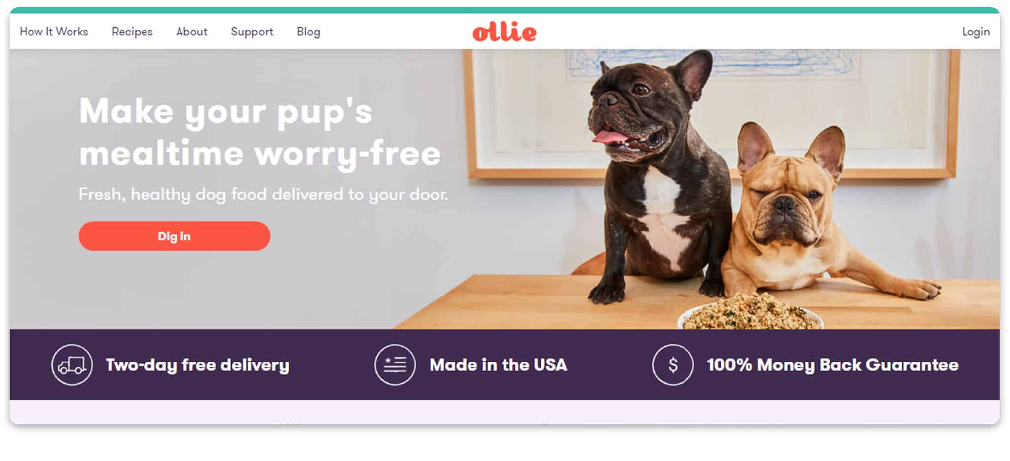 Ollie Affiliate Pet 