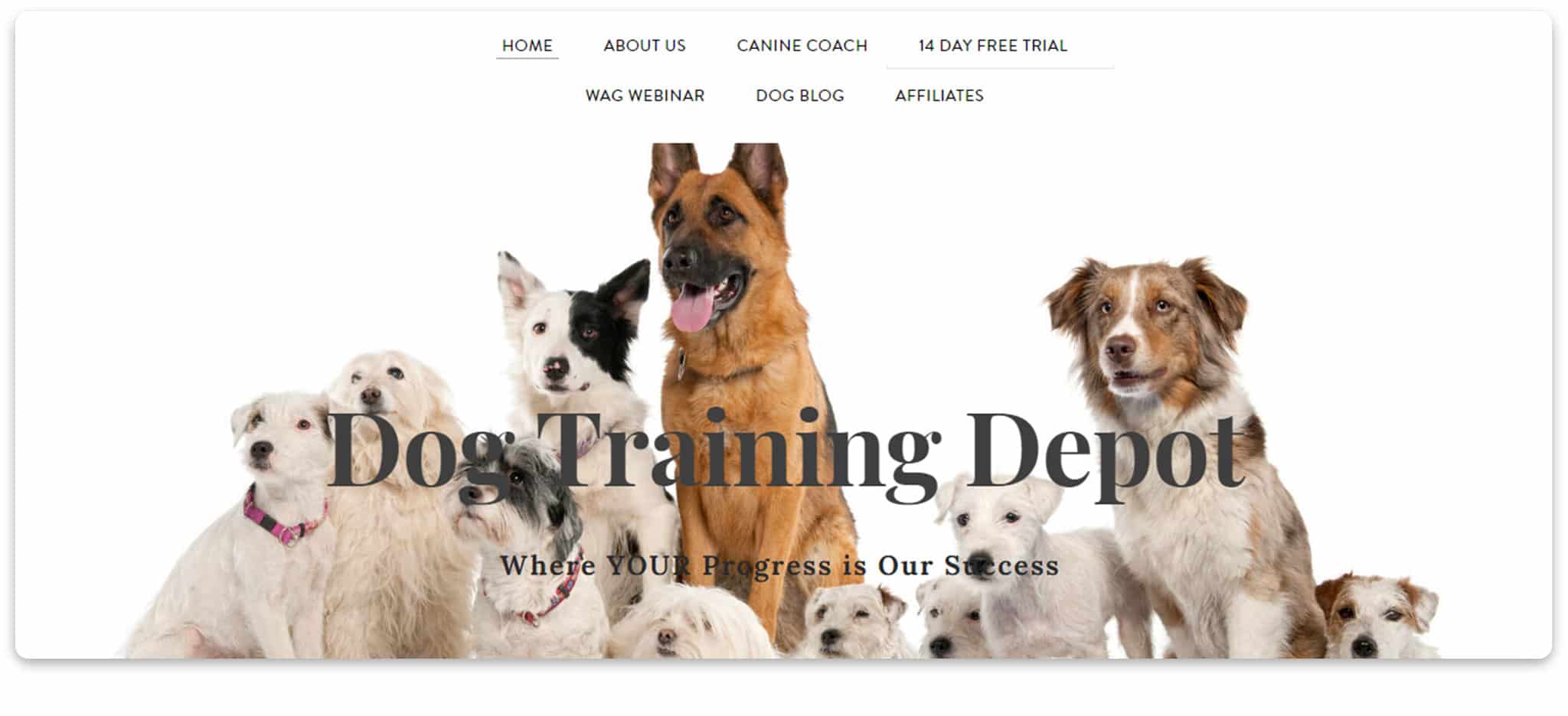 Dog Training Depot Affiliate