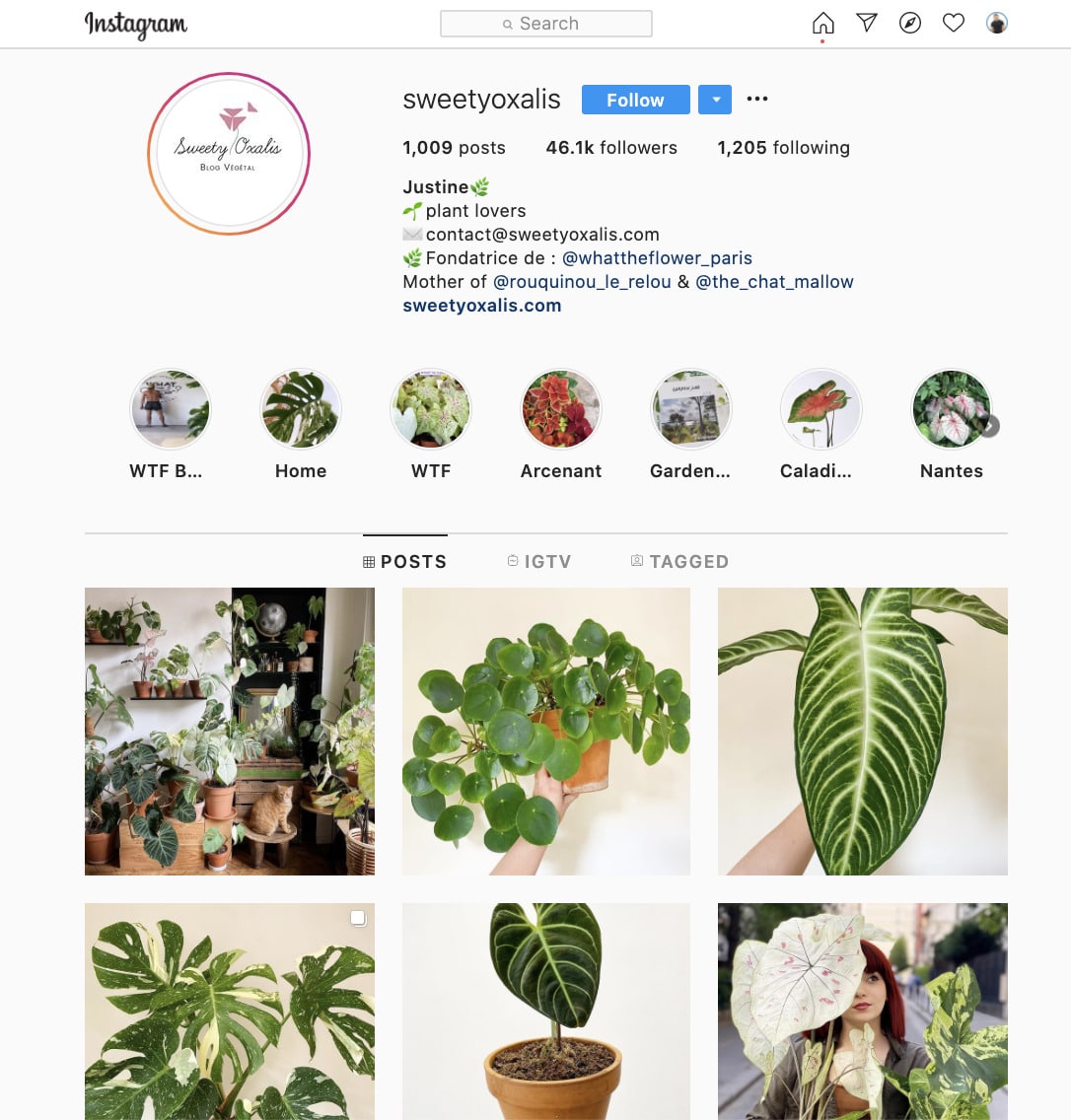 Take Care of Plants instagram