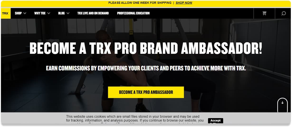 TRX Pro band