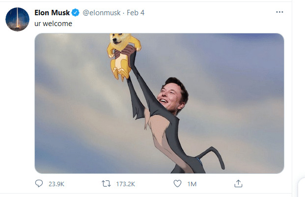 Elon Musk Examples Social