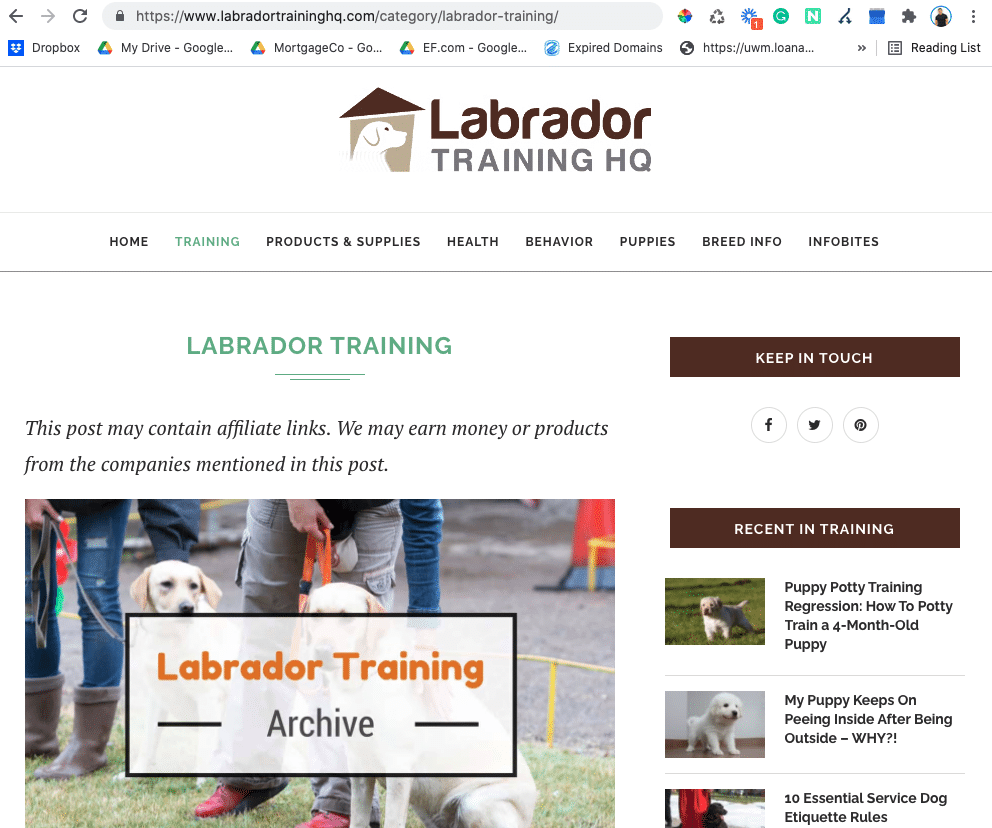 Labrador training HQ screenshot