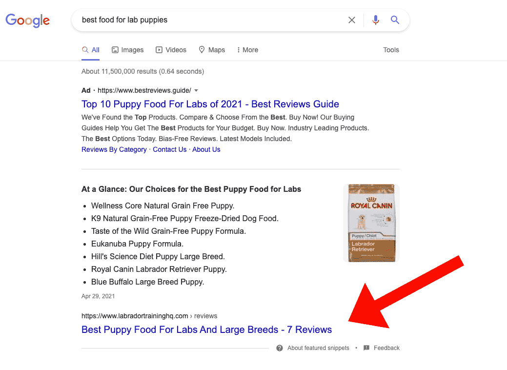 Lab food for puppies search results on google