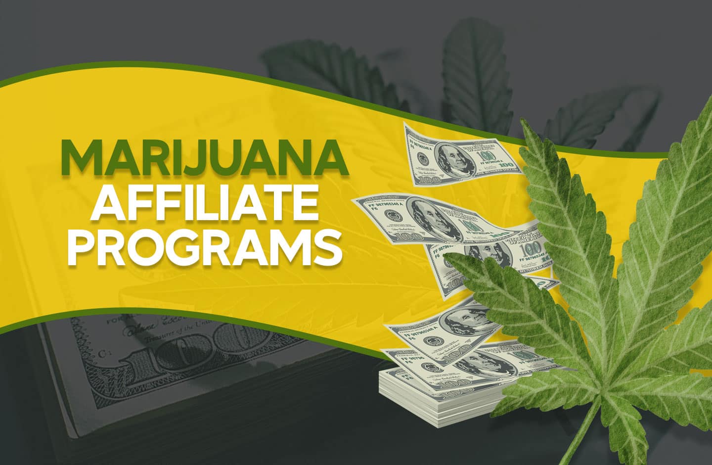 Marijuana affiliate programs
